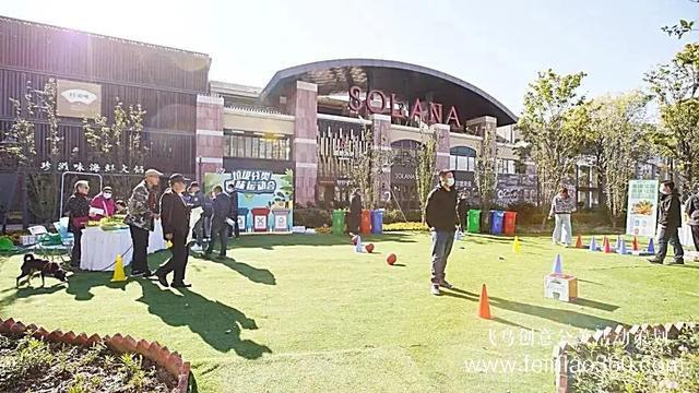 社區(qū)活動|朝陽483個社區(qū)舉辦鄰里節(jié)，活動各式各樣、精彩紛呈